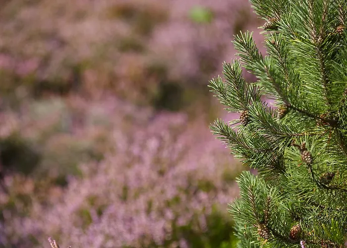 Duene 6 Appartamento