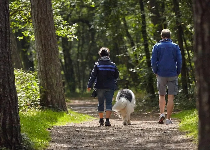 Duene 6 Appartamento